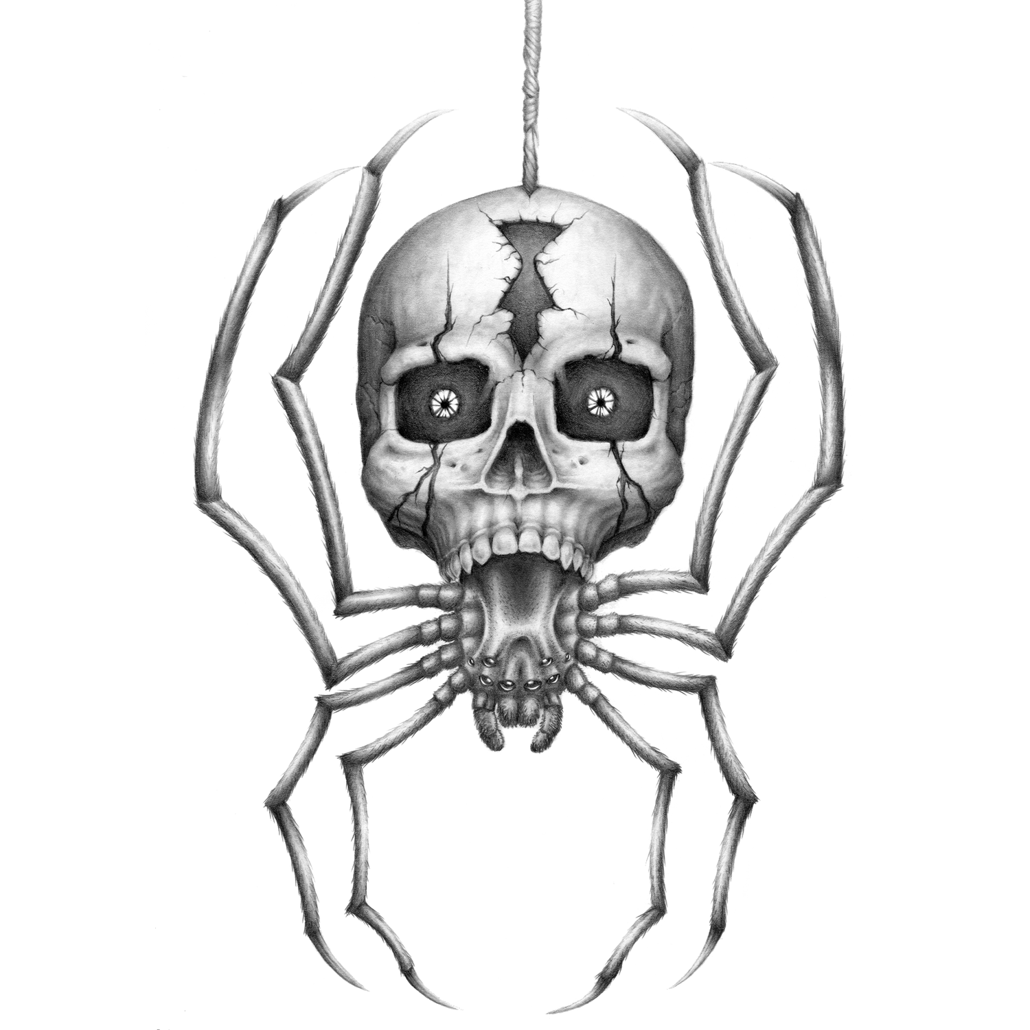 Eight Eyed Skull