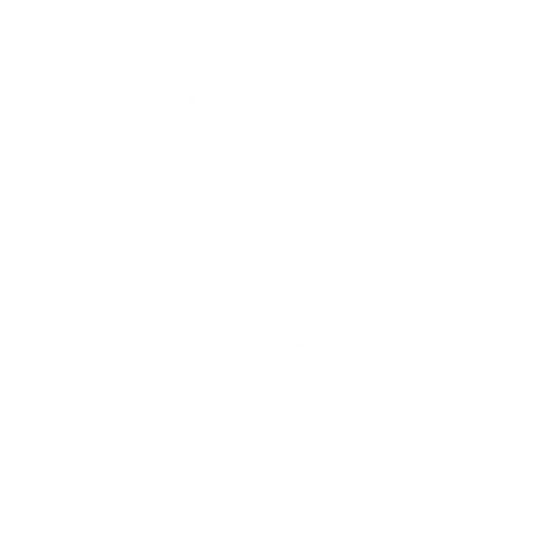 Lewix Art
